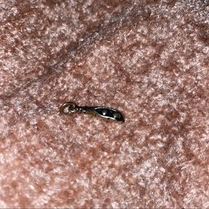 Peas in a pod James Avery Charm